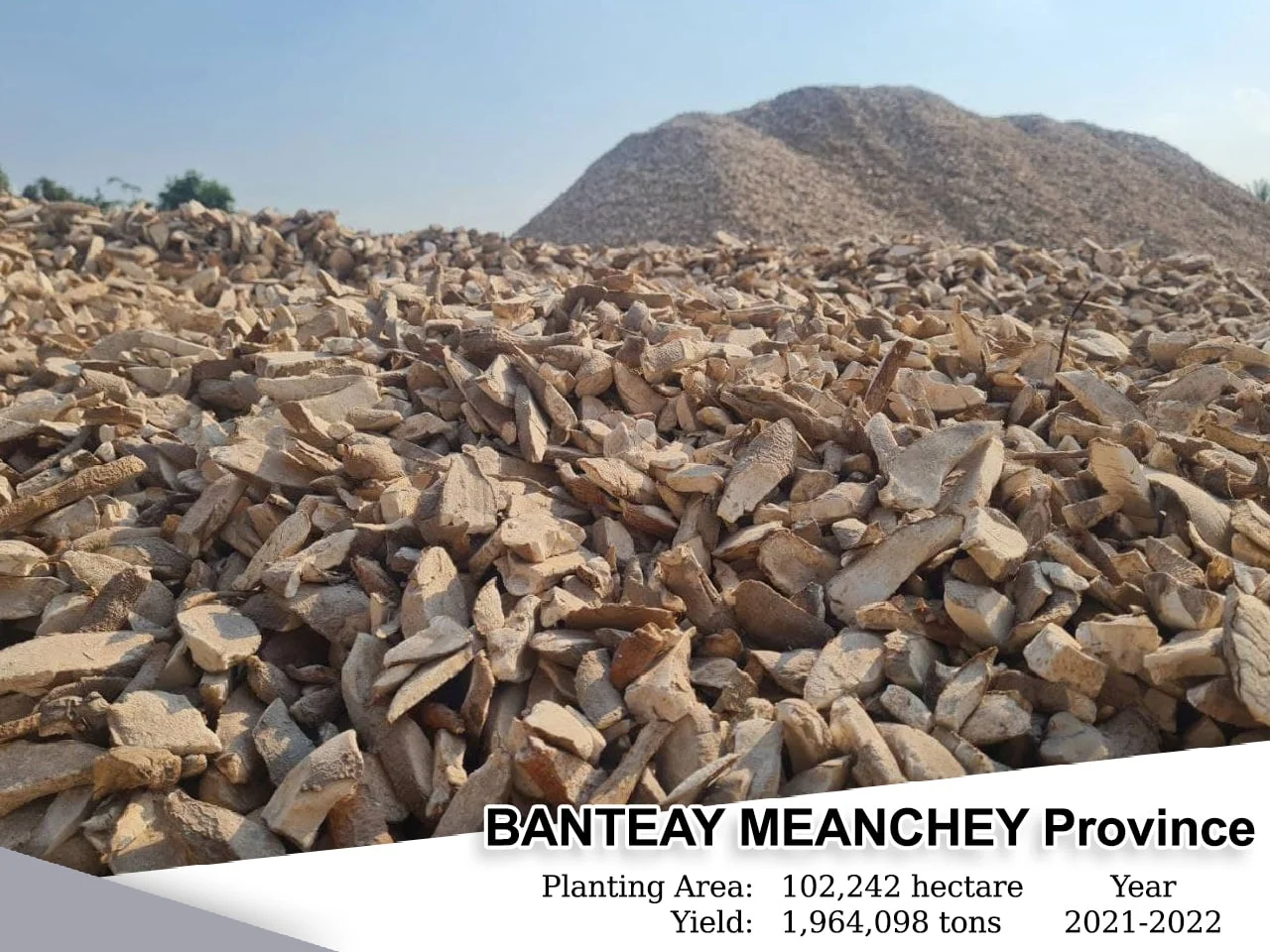 Banteay Meanchey