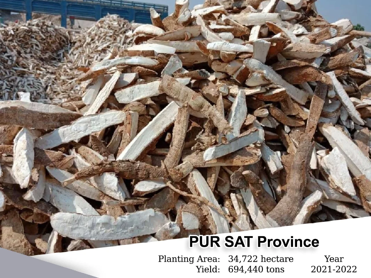 Pursat