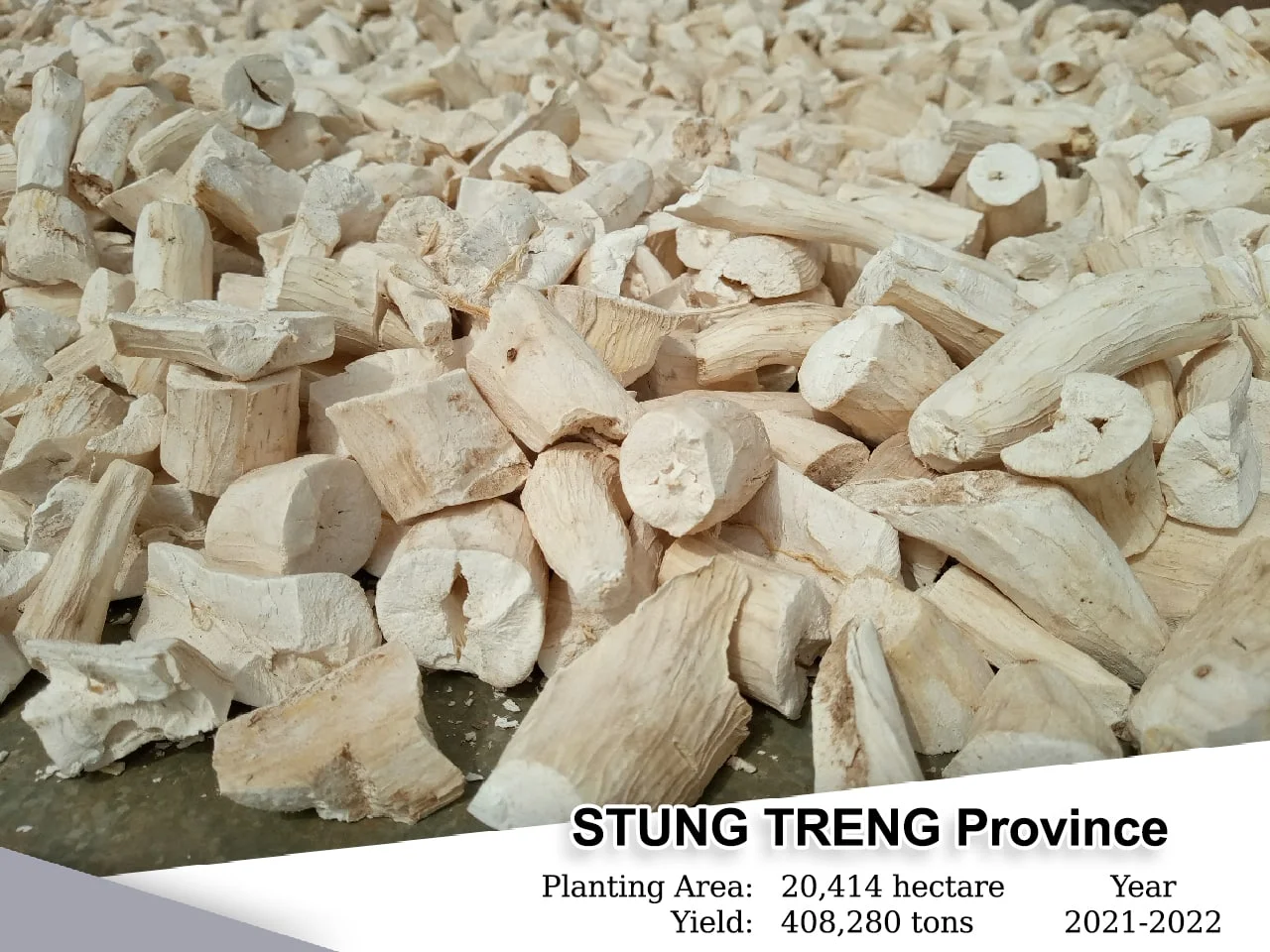 Steung Streng